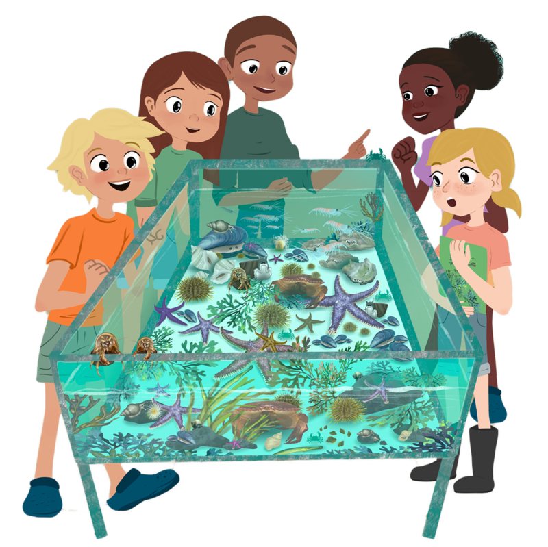 Fem barn står rundt en vanntank fyllt med forskjellige arter.